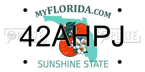 42AHPJ Florida License Plate