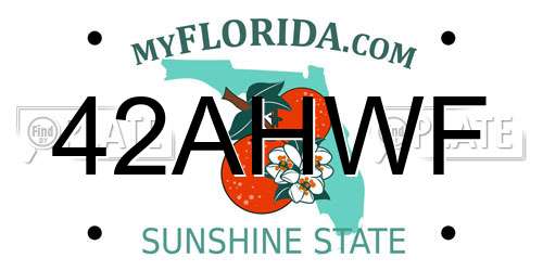 42AHWF Florida License Plate