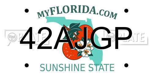 42AJGP Florida License Plate