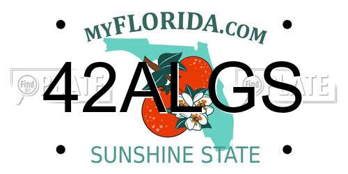 42ALGS Florida License Plate