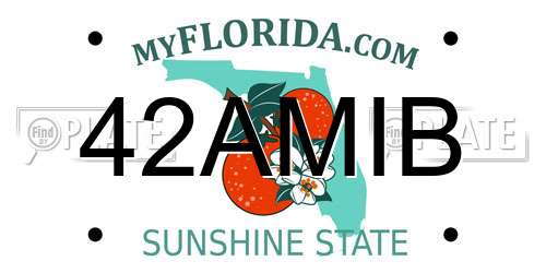 42AMIB Florida License Plate