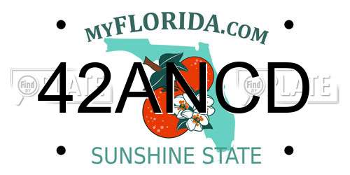 42ANCD Florida License Plate