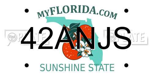42ANJS Florida License Plate