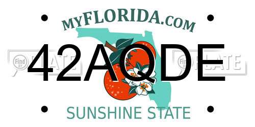 42AQDE Florida License Plate