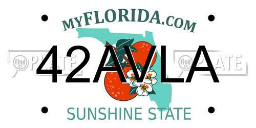 42AVLA Florida License Plate