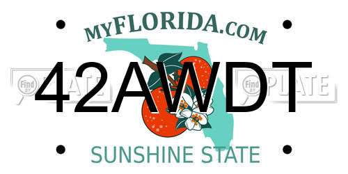 42AWDT Florida License Plate