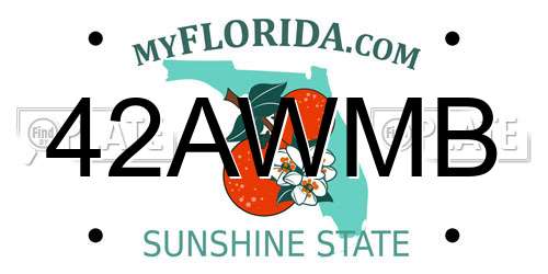 42AWMB Florida License Plate