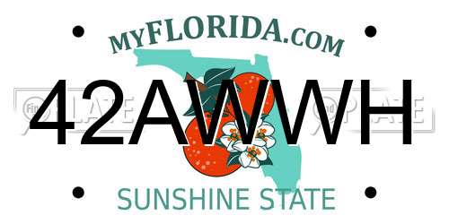 42AWWH Florida License Plate
