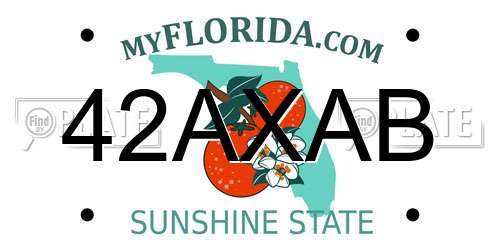 42AXAB Florida License Plate