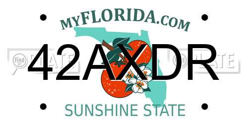 42AXDR Florida License Plate