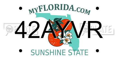 42AYVR Florida License Plate