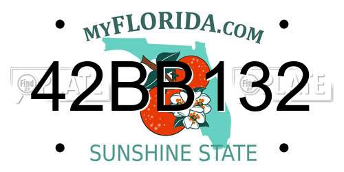 42BB132 Florida License Plate