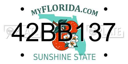 42BB137 Florida License Plate