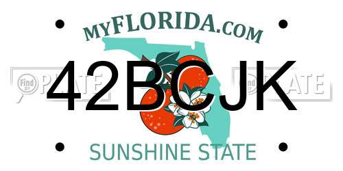 42BCJK Florida License Plate