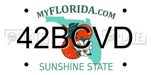 42BCVD Florida License Plate