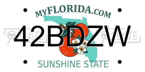 42BDZW Florida License Plate