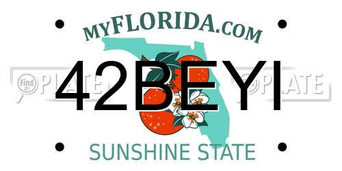 42BEYI Florida License Plate