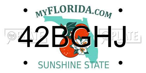 42BGHJ Florida License Plate