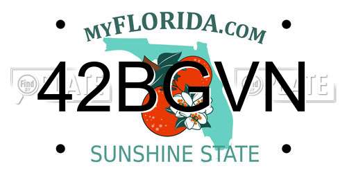 42BGVN Florida License Plate