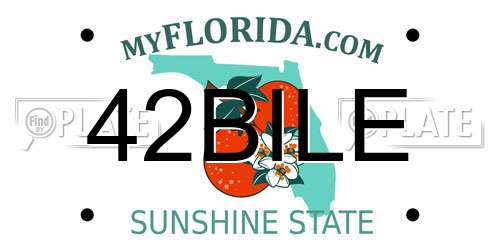 42BILE Florida License Plate
