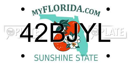 42BJYL Florida License Plate