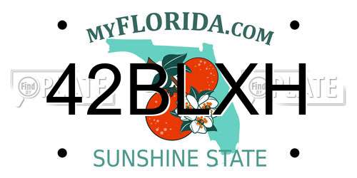 42BLXH Florida License Plate