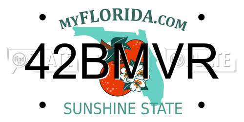 42BMVR Florida License Plate