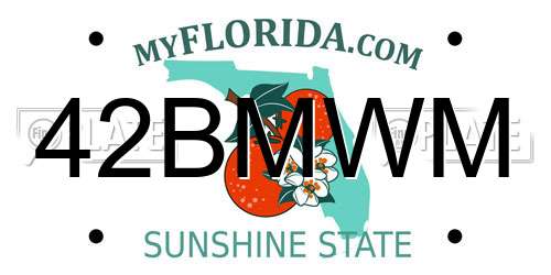 42BMWM Florida License Plate