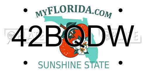 42BQDW Florida License Plate