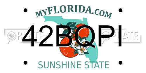 42BQPI Florida License Plate