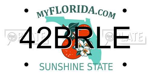 42BRLE Florida License Plate