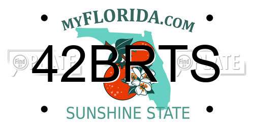 42BRTS Florida License Plate