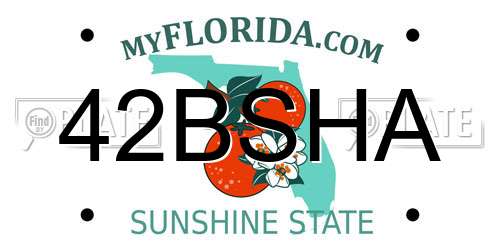 42BSHA Florida License Plate