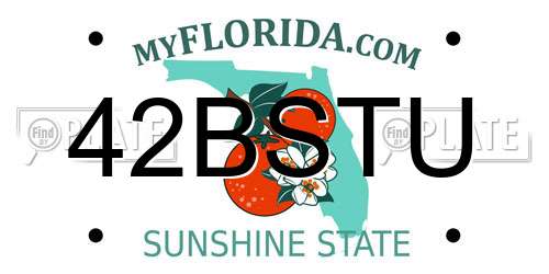 42BSTU Florida License Plate