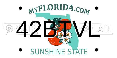 42BTVL Florida License Plate