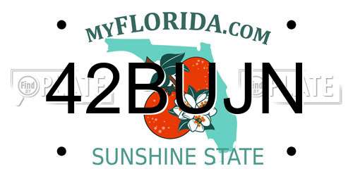 42BUJN Florida License Plate