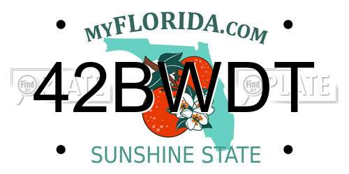 42BWDT Florida License Plate