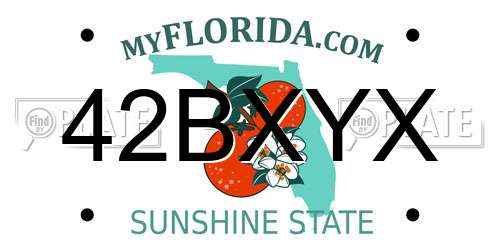 42BXYX Florida License Plate