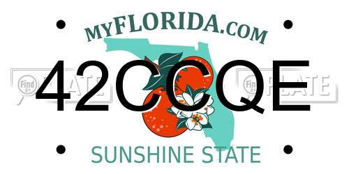 42CCQE Florida License Plate