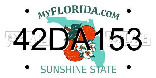 42DA153 Florida License Plate