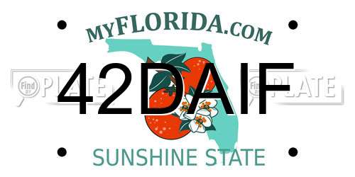 42DAIF Florida License Plate