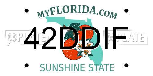 42DDIF Florida License Plate