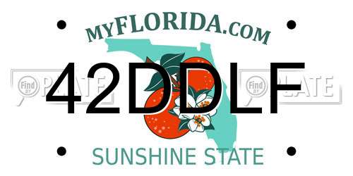 42DDLF Florida License Plate