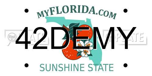 42DEMY Florida License Plate