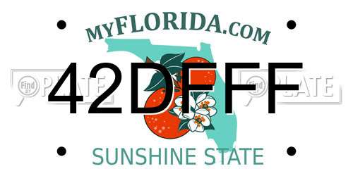 42DFFF Florida License Plate