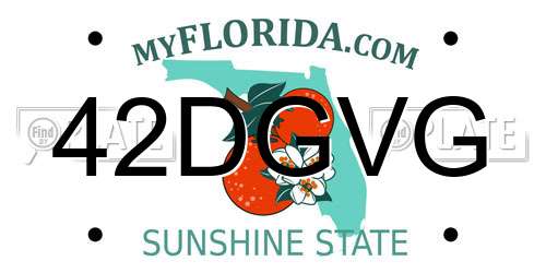 42DGVG Florida License Plate