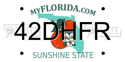 42DHFR Florida License Plate