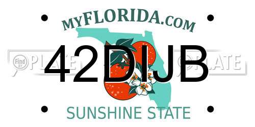 42DIJB Florida License Plate