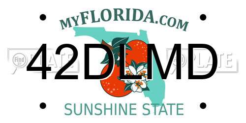 42DLMD Florida License Plate