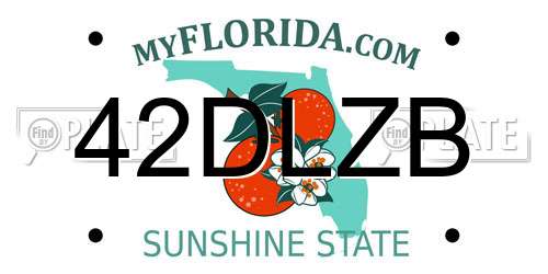 42DLZB Florida License Plate